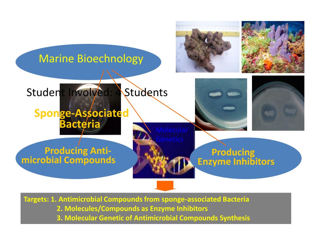 phd marine biotechnology