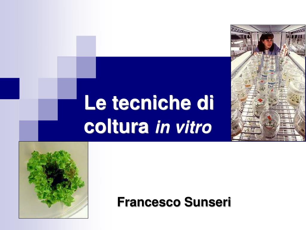 PPT - Le tecniche di coltura in vitro PowerPoint Presentation, free  download - ID:5428957