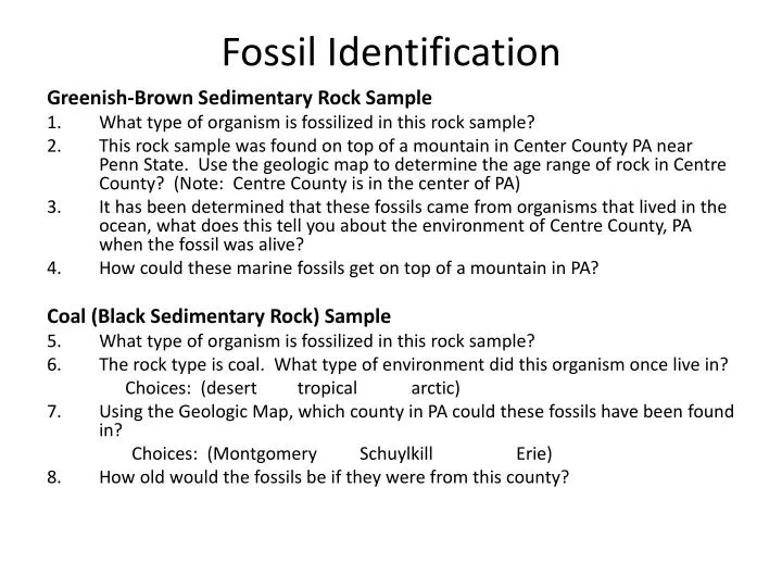 fossil identification n.