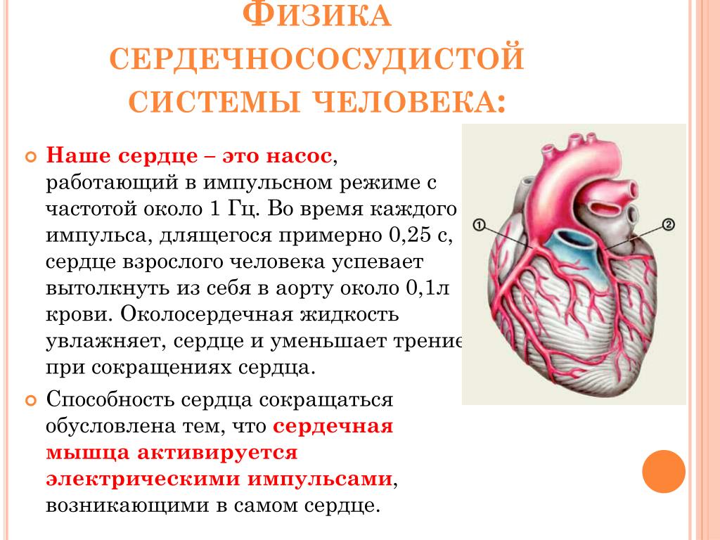 Какая мощность сердца. Физика сердца исследовательская работа. Сердце работает как насос. Работа сердца физика. Работа сердца как насоса.