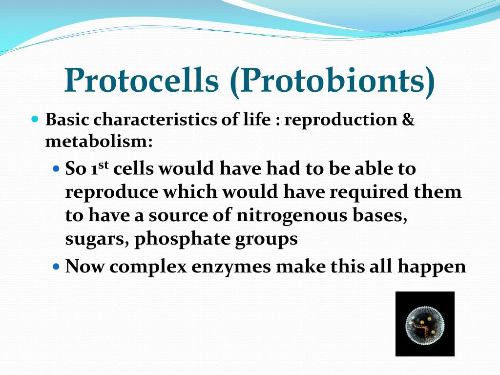 Protoscience Definition PPT - AP BIOLOGY THE HISTORY of EARTH PowerPoint Presentation, free ...