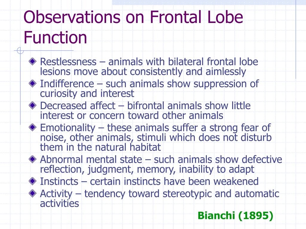 Observations on Frontal Lobe Function PowerPoint Presentation ... Biology Diagrams