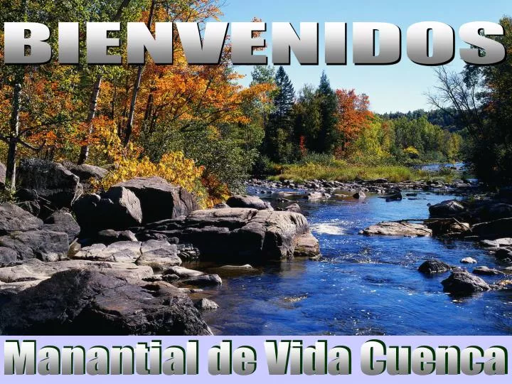PPT - Manantial de Vida Cuenca PowerPoint Presentation, free download -  ID:5433212