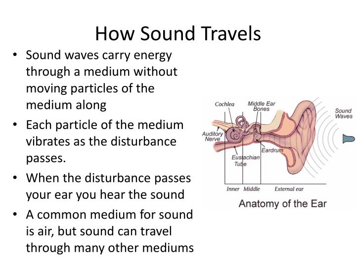 PPT Chapter 16.1 The Nature of Sound PowerPoint Presentation ID5434384