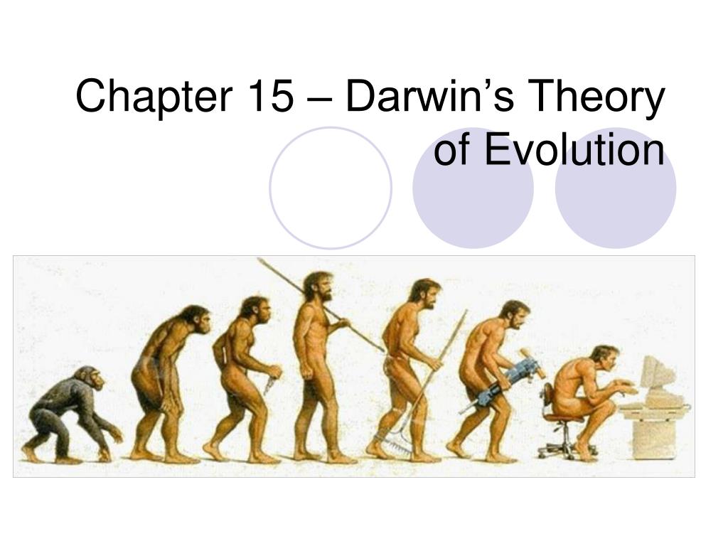 Эволюция слабые сильные. Теория эволюции. Теория эволюции Дарвина. Основные теории эволюции Дарвина. Основные положения эволюционной теории Дарвина.