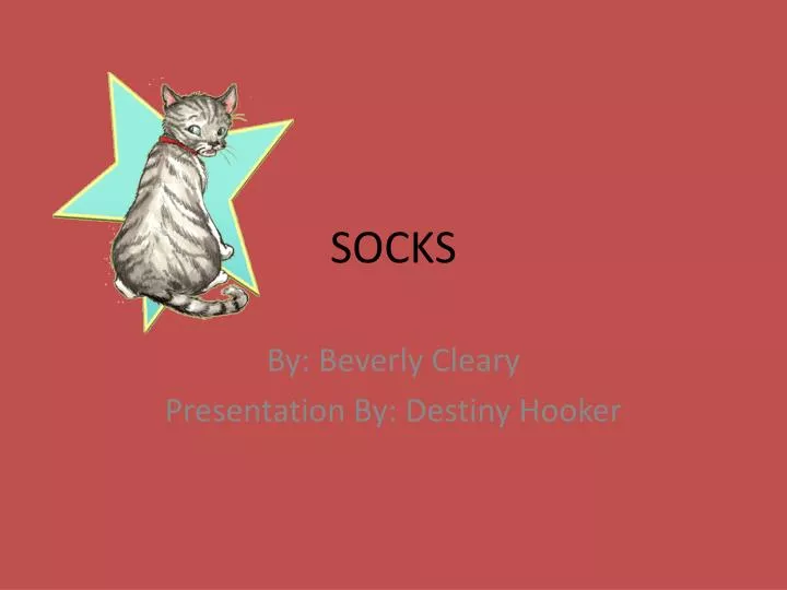 socks n.