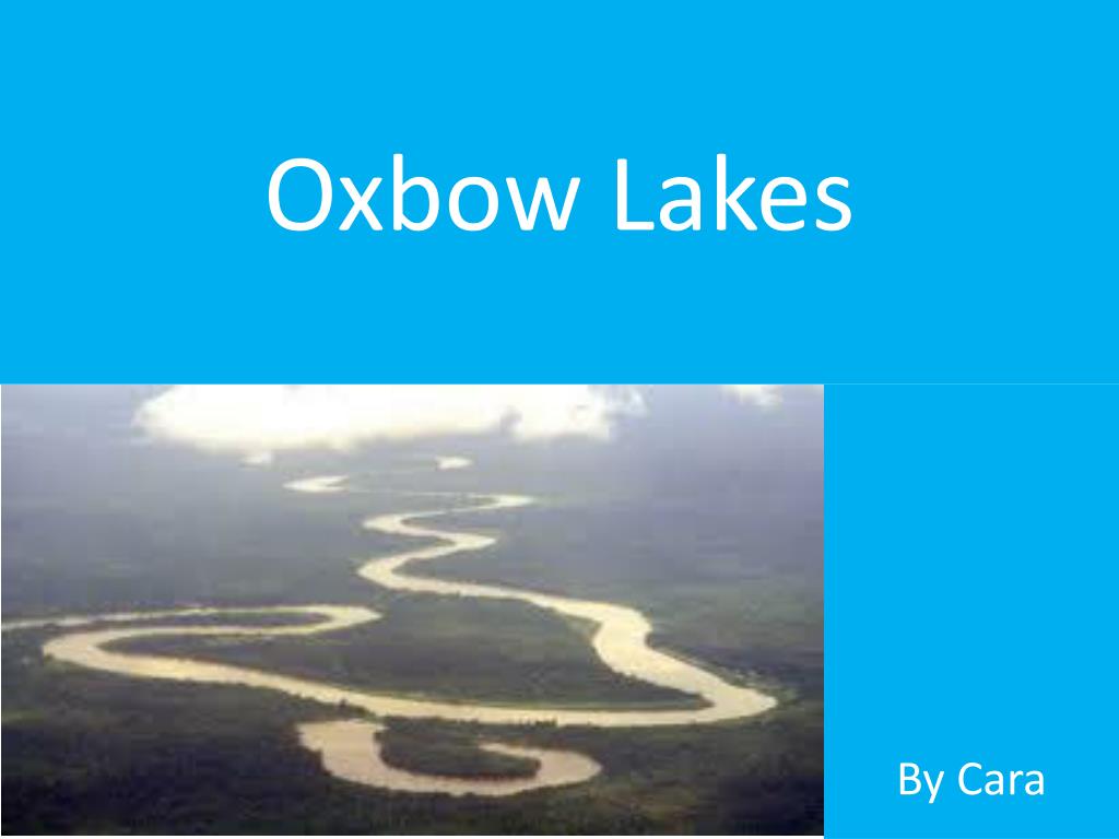 Oxbow Lake