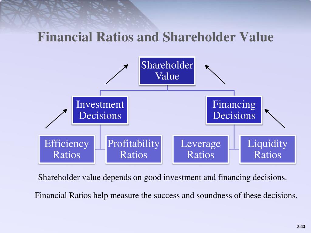 Financing decisions. Financial ratios. Shareholder value Shard Arena.