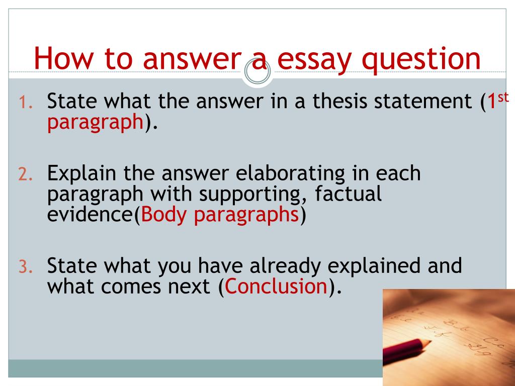 how long should a long essay question be