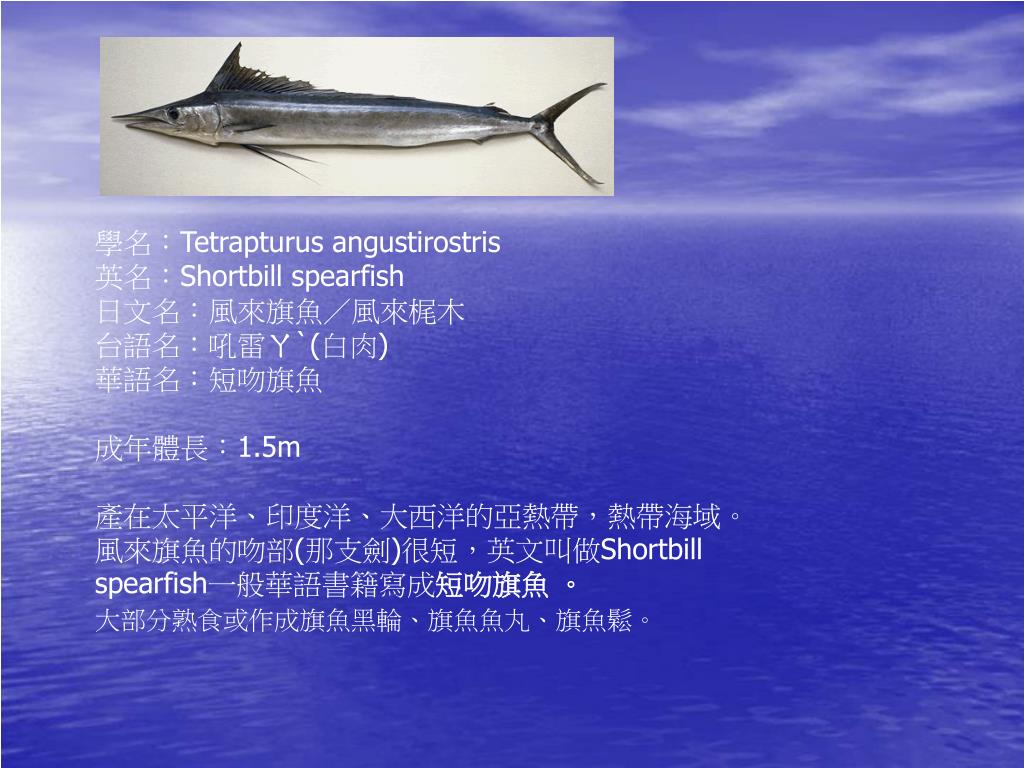 Ppt 教師讀書會主題 鏢旗魚powerpoint Presentation Free Download Id Ppt 教師讀書會主題 鏢旗魚powerpoint Presentation Free Download Id