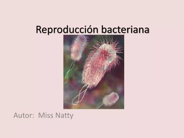 reproducci n bacteriana n.