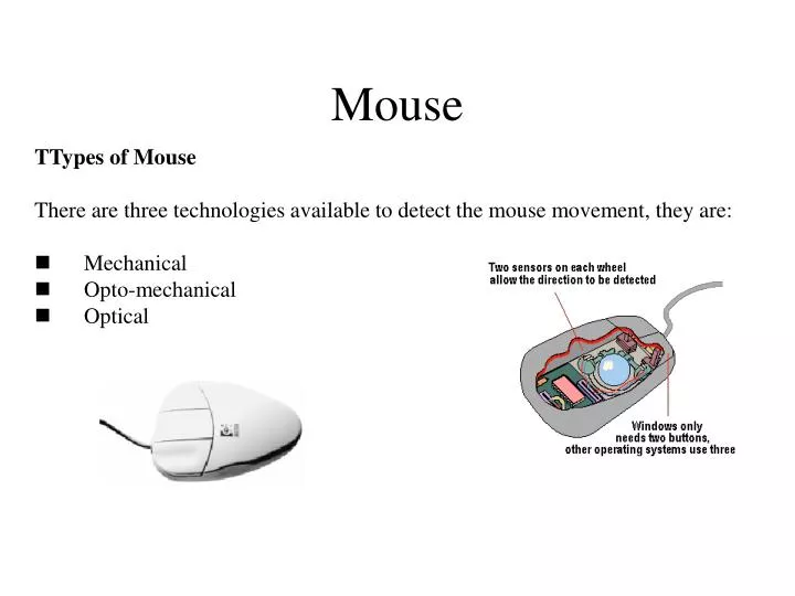 PPT - Mouse PowerPoint Presentation, free download - ID:5441168