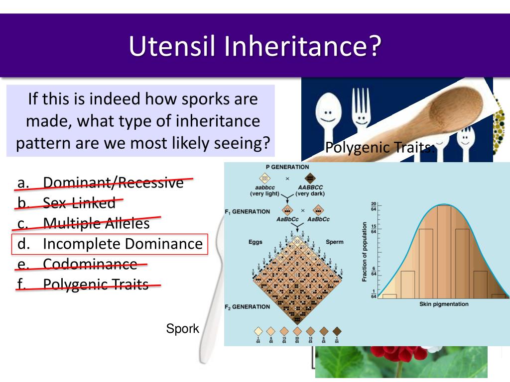 ppt-dominant-recessive-sex-linked-multiple-alleles-incomplete-dominance-codominance-polygenic