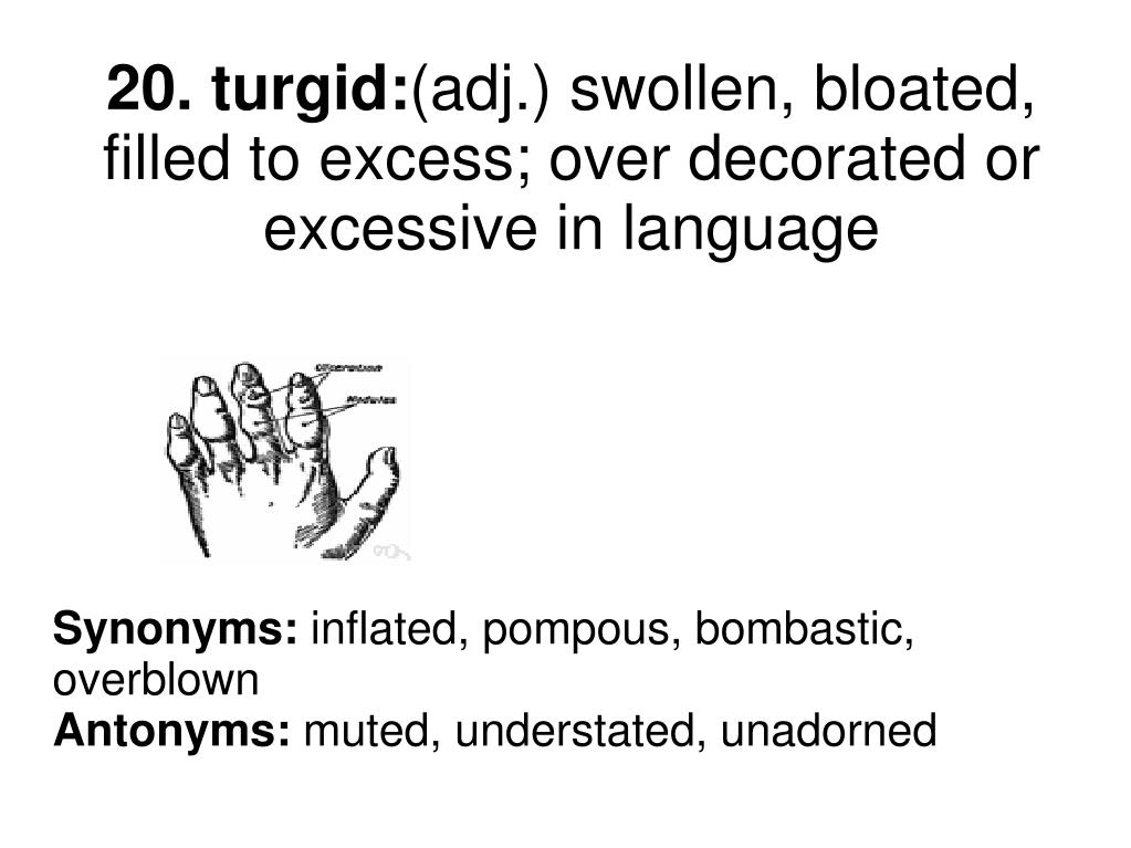 Ppt Synonyms Agreeable Compliant Docile Antonyms