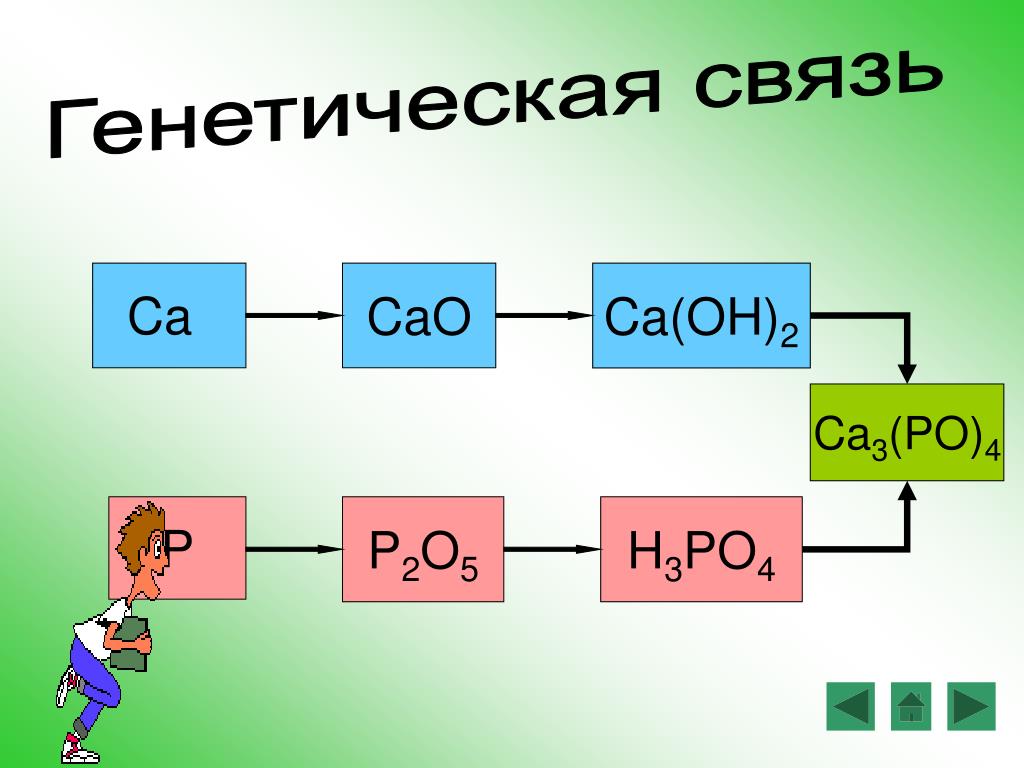 Дополни схему реакции cao. Cao связь. Генетическая связь CA. Амфотерные гидроксиды. Генетическая связь p p2o5.