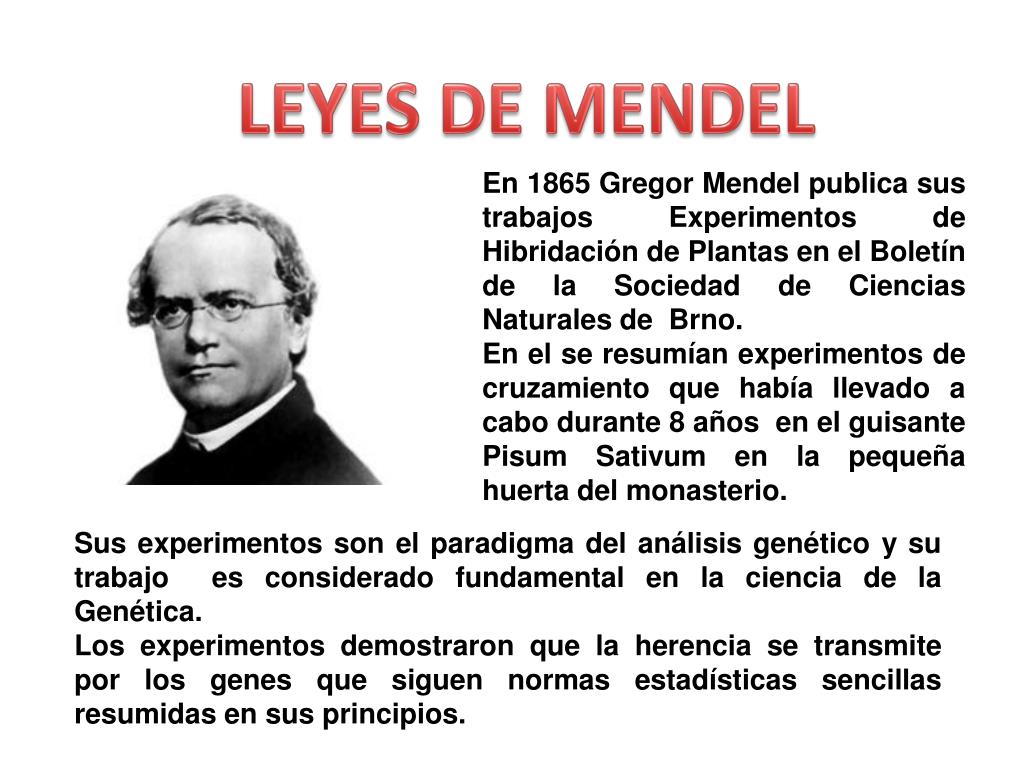 Biografia De Gregor Mendel Resumo - EDUBRAINAZ