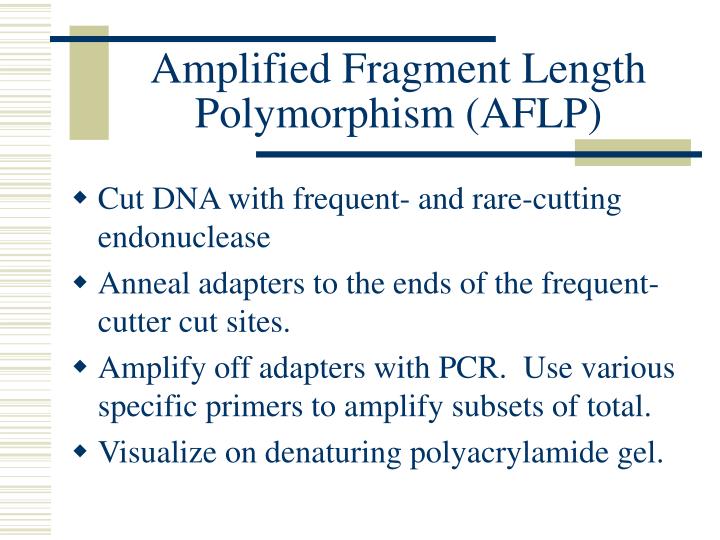 PPT Lecture 2 Biology Review II PowerPoint Presentation ID5449892