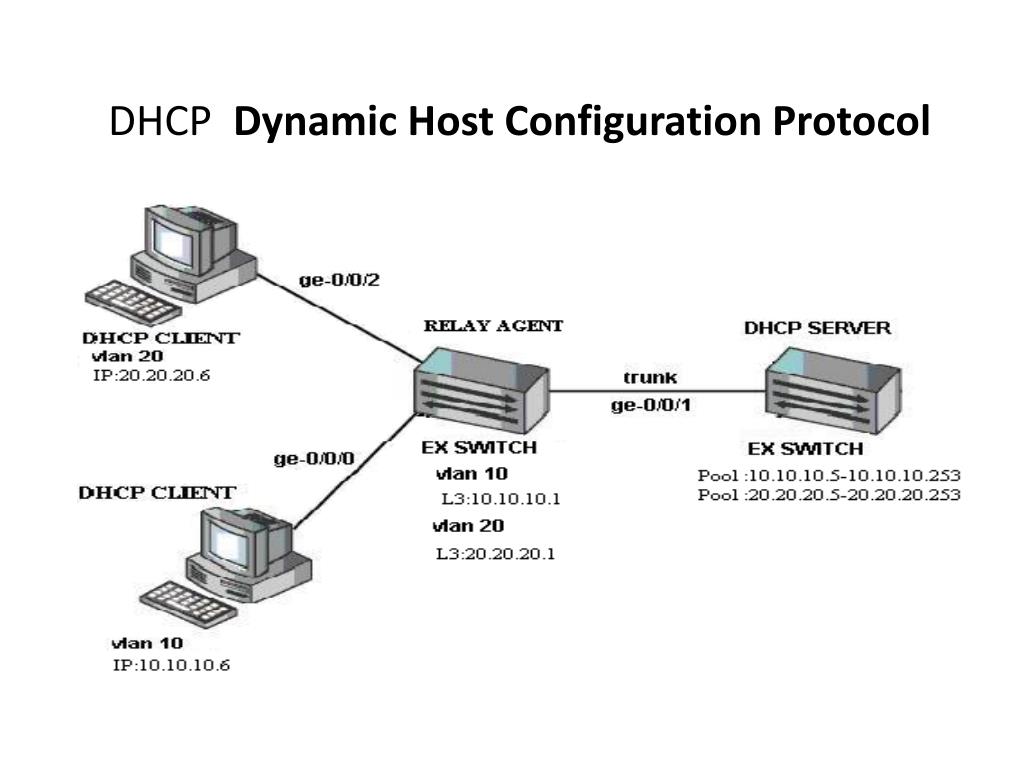 Protocol host. DHCP протокол. DHCP сервер. DHCP схема. Конфигурация DHCP.