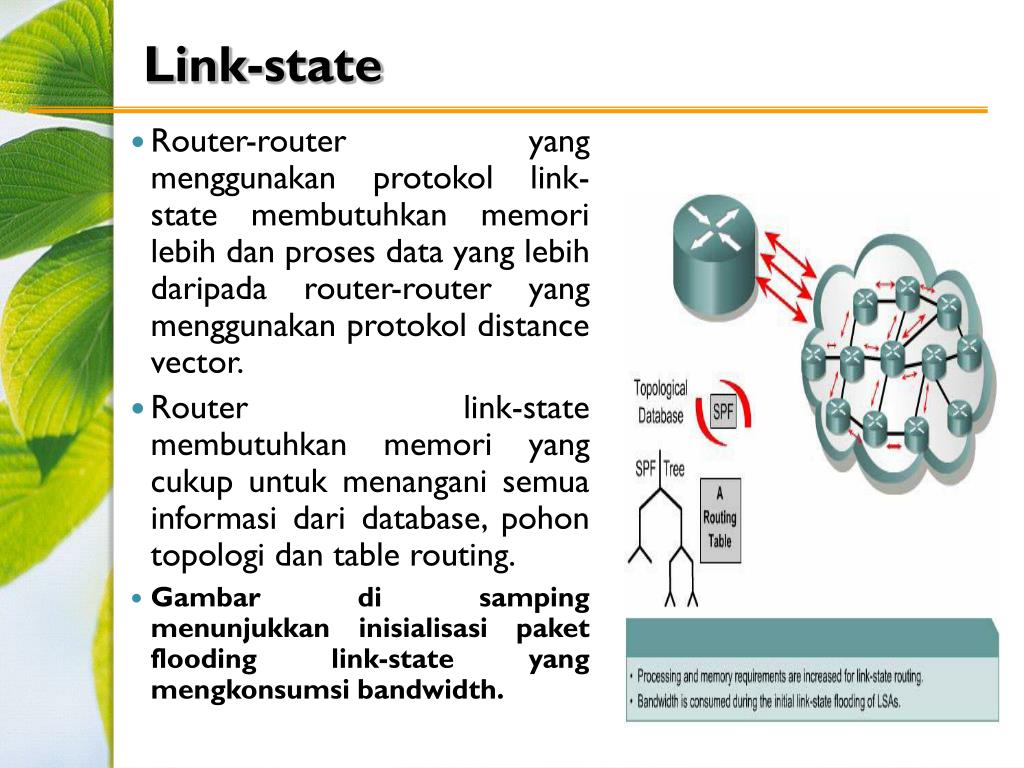Link state. Static link.