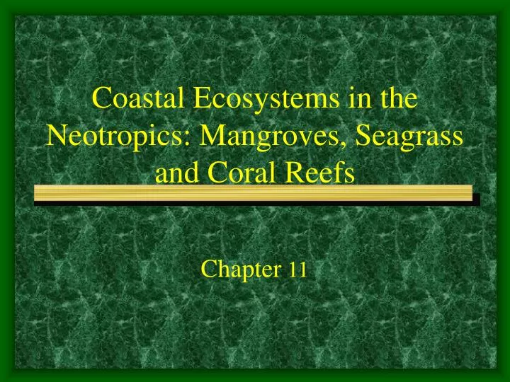 Ppt Coastal Ecosystems In The Neotropics Mangroves
