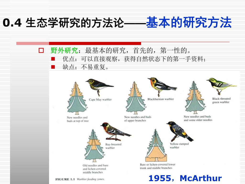Ppt 基础生态学powerpoint Presentation Free Download Id Ppt 基础生态学powerpoint Presentation Free Download Id