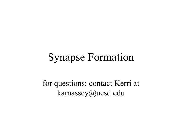 synapse formation n.