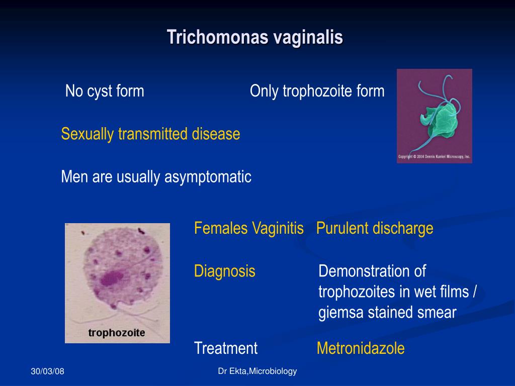 Trichomonas vaginalis пцр