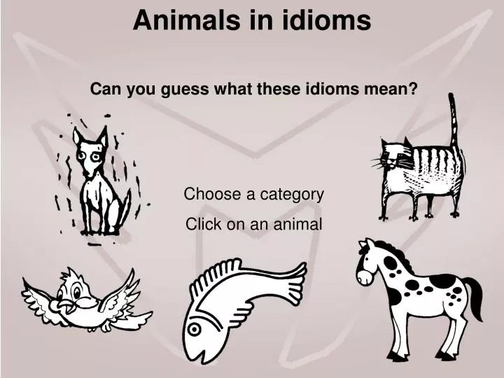PPT - Animals in idioms PowerPoint Presentation, free download - ID:5453325