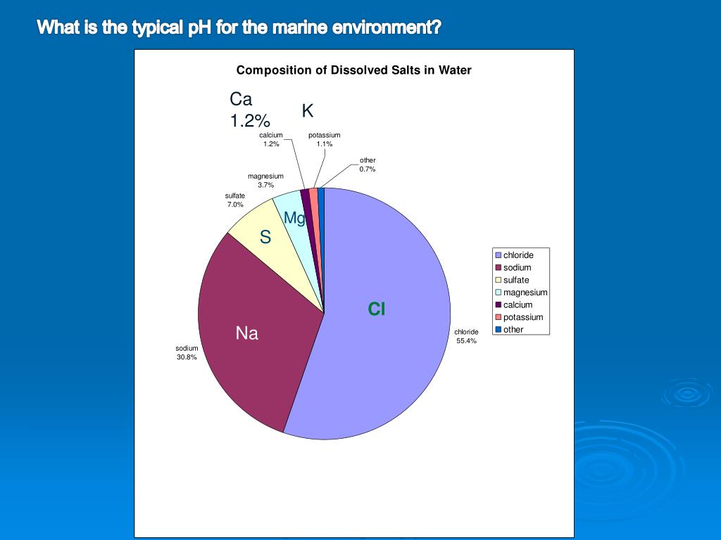 PPT - Ocean Acidification Effects on Marine Organisms PowerPoint ...