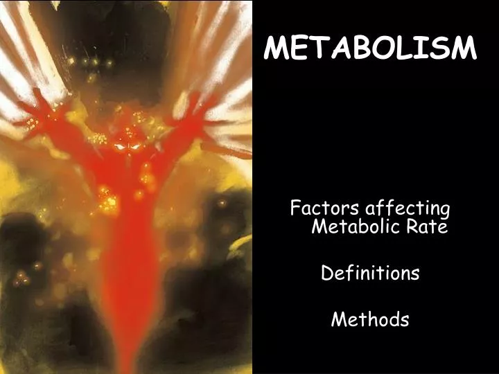 metabolism n.