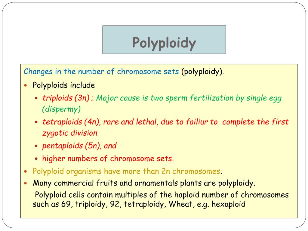 PPT Chromosomal Abnormalities PowerPoint Presentation