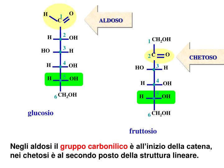 Il Ribosio è Un Aldoso O Chetoso PPT - Zuccheri (o Glucidi o Glicidi o Carboidrati) PowerPoint