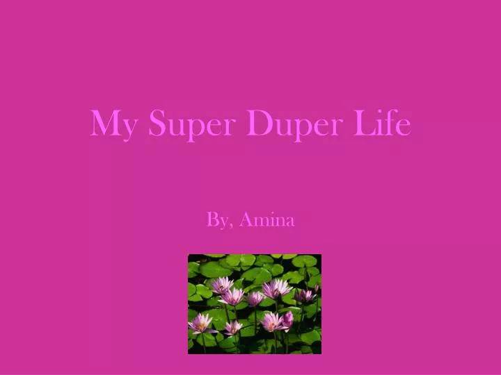my super duper life n.