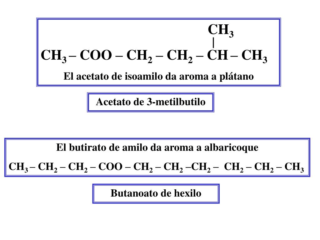 Ch3-ch2-Coo-ch2-ch3 изомер углеродного скелета. Ch₃-Coo-ch₂-ch₃ сокращеный вид. Ch3-ch2-Coo-ch3. Ch3coo 2ca структурная формула. Ch2 coo ch2 ch3 название
