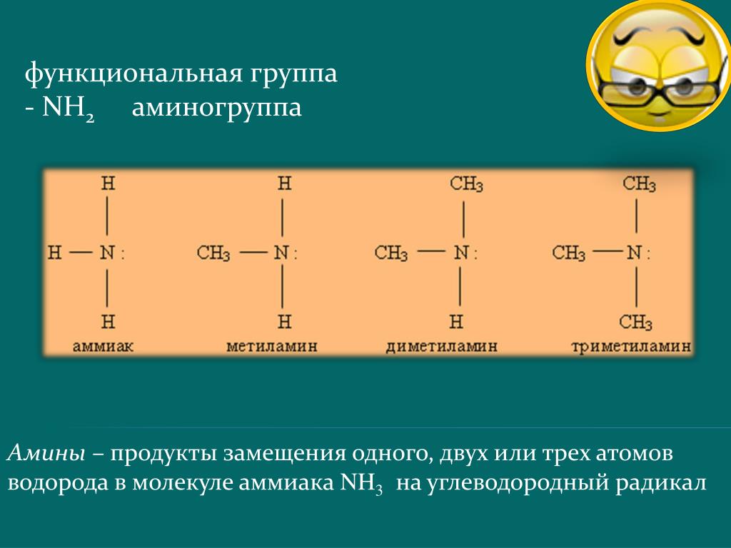 Два утверждения которые справедливы для диметиламина