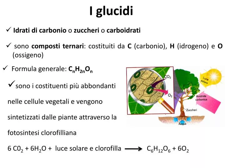 I Glucidi Sono Composti Ternari