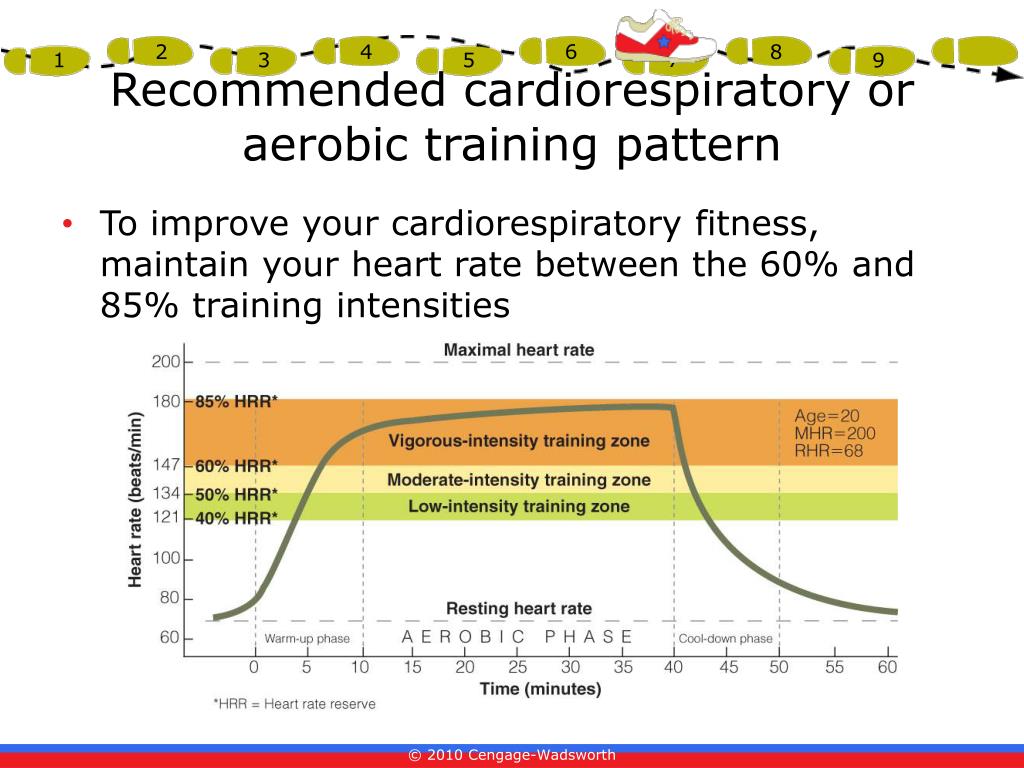 PPT Chapter 6 Cardiorespiratory Endurance PowerPoint Presentation