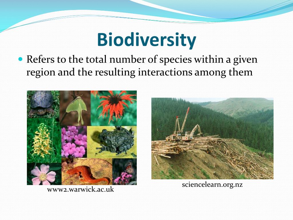 PPT Biology 101 An Introduction PowerPoint Presentation Free ppt-biology-101-an-introduction-powerpoint-presentation-free