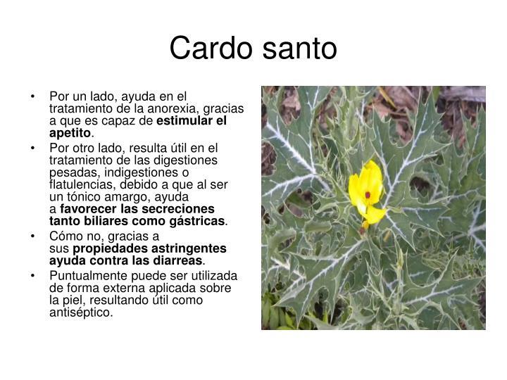 PPT - Plantas medicinales y sus propiedades. PowerPoint PPT - Plantas medicinales y sus propiedades. PowerPoint
