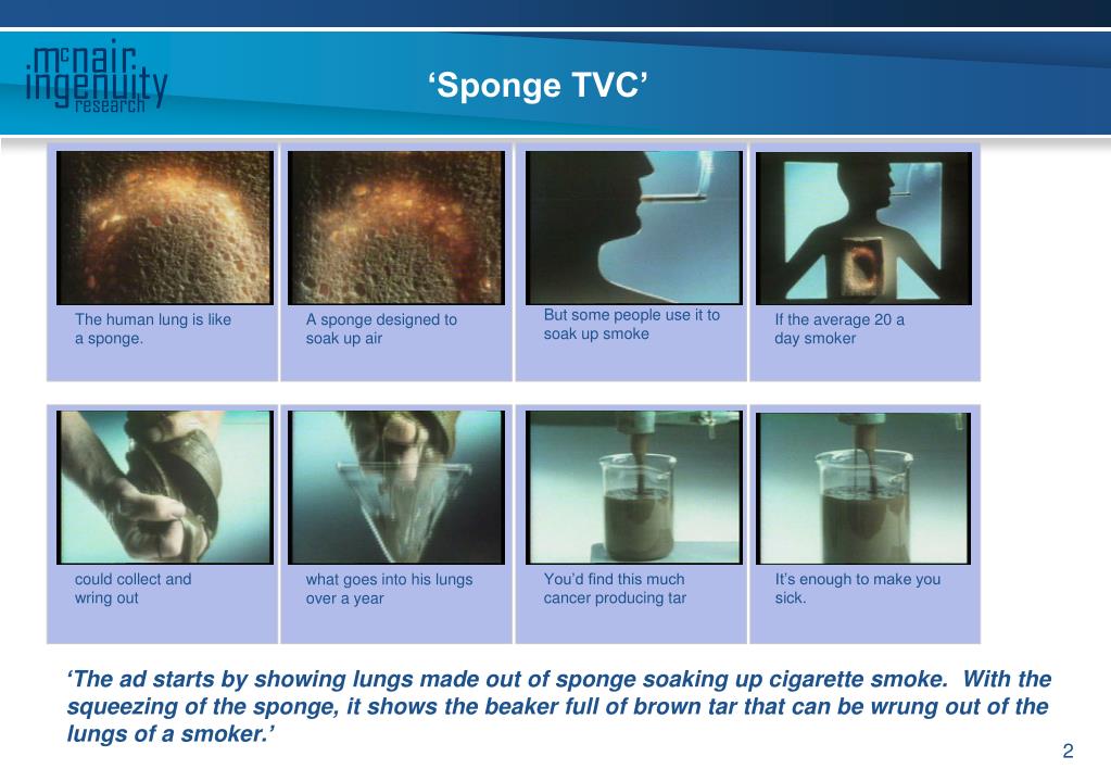 PPT - Sponge September – December 2007 PRELIMINARY FINDINGS FROM ...
