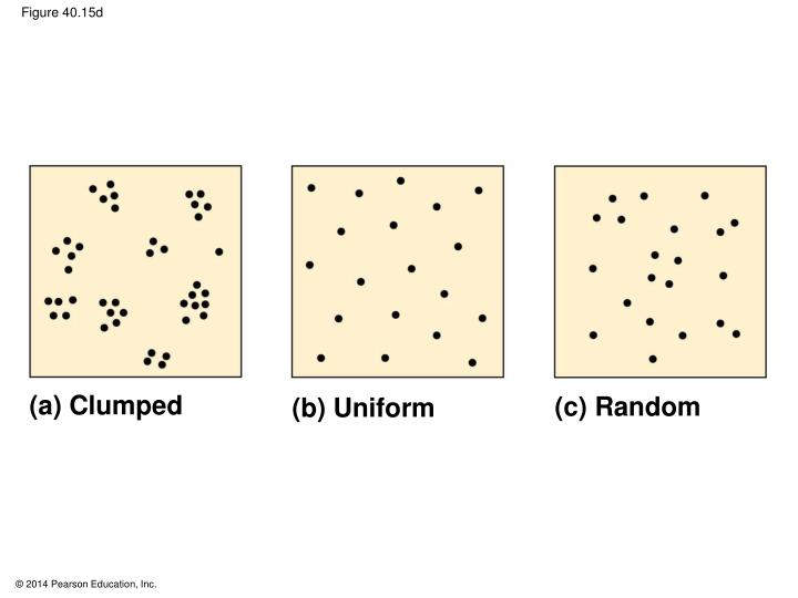 PPT - Population Ecology and the Distribution of Organisms PowerPoint ...