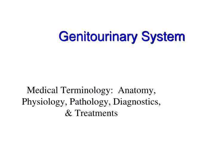 PPT Genitourinary System PowerPoint Presentation, free