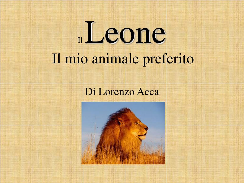 PPT - Il mio animale preferito PowerPoint Presentation, free download -  ID:5467221