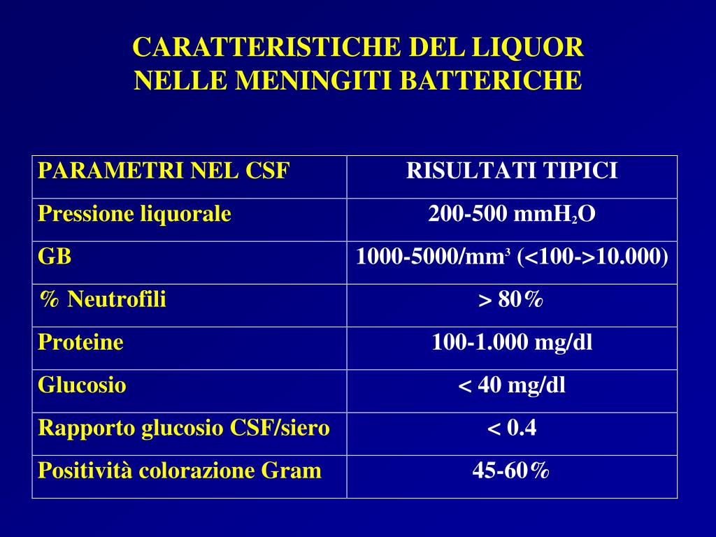 Differenza Tra Infezione Virale E Batterica PPT - MENINGITI PowerPoint Presentation, free download - ID:5467378