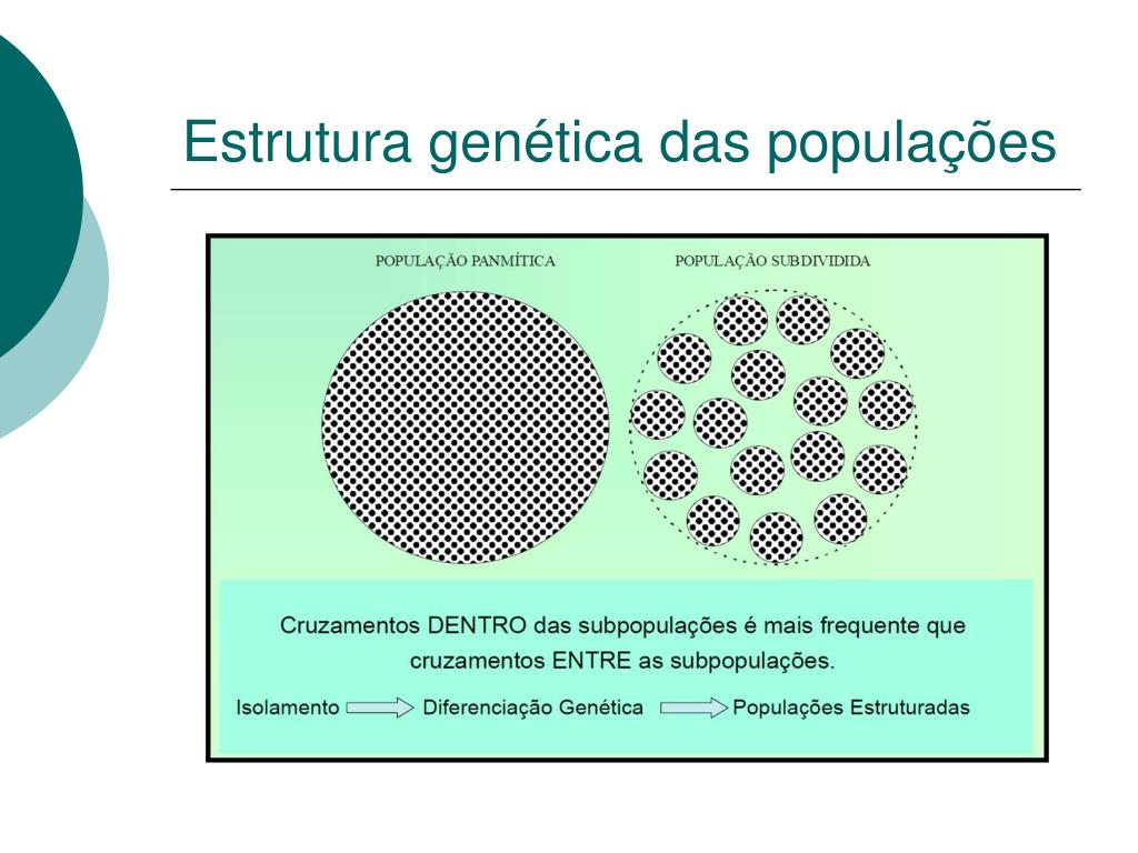 PPT - Aspectos Ecológicos E Evolutivos Relacionados à Genética De ...