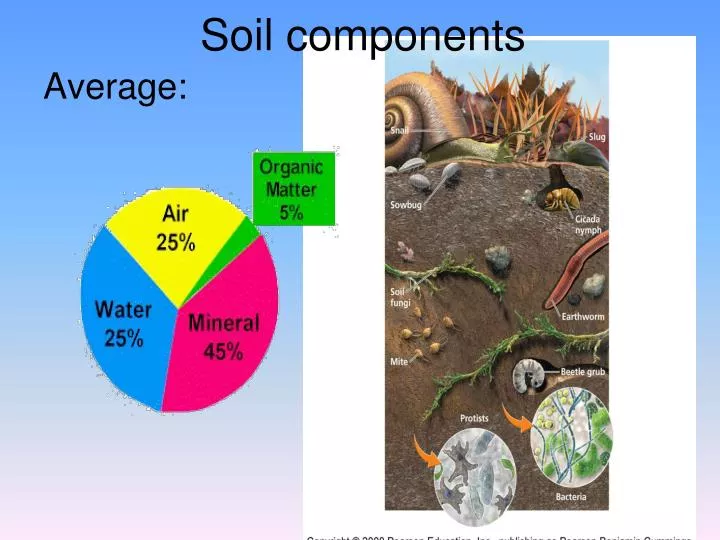 Soil components chart
