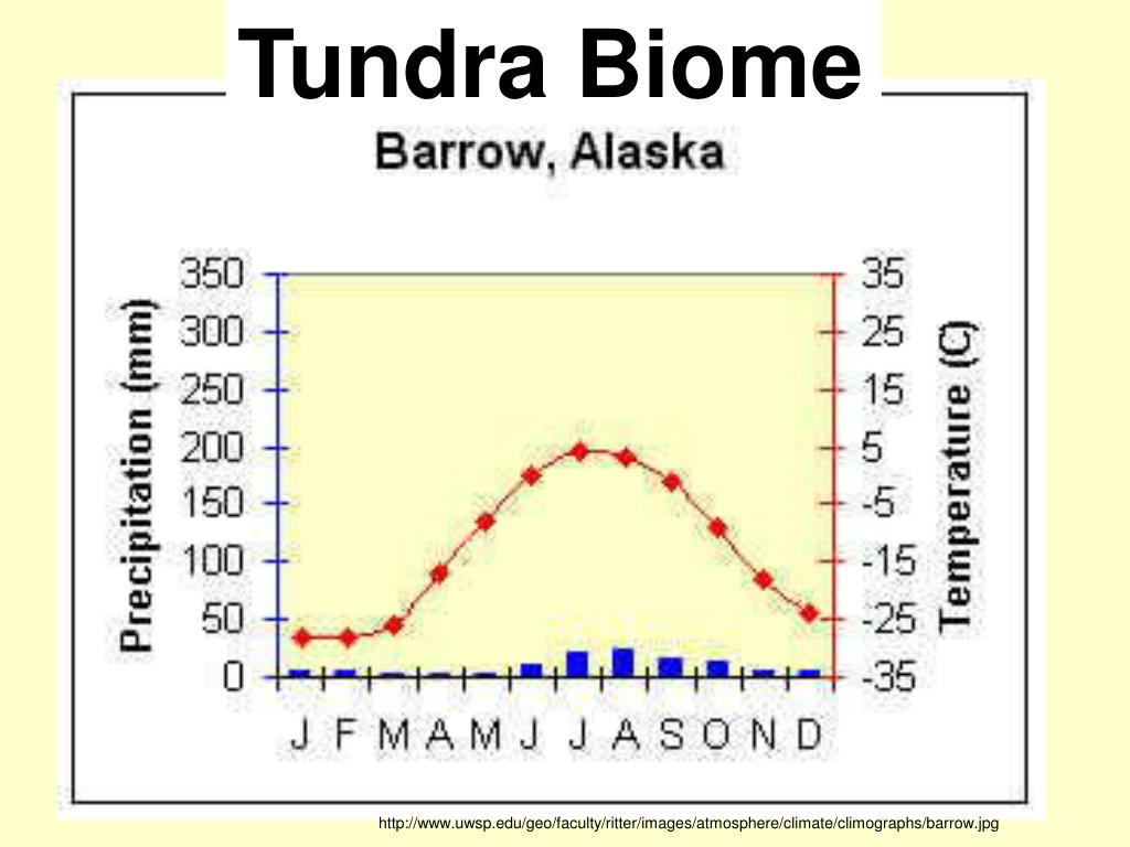 Расход тундры на 100. Climate graph. Климат Барроу. Warm-humid climate показать график. Polar precipitation.