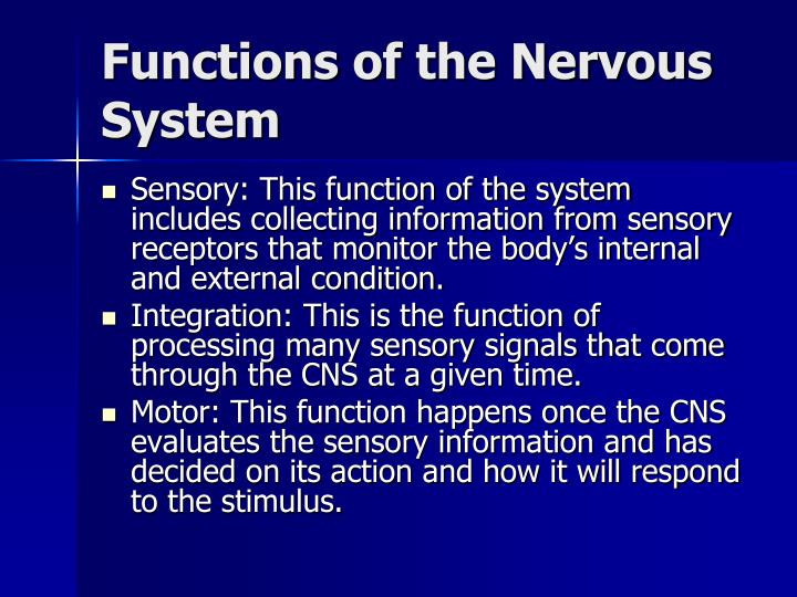 PPT Nervous System PowerPoint Presentation ID 5468728 Ppt nervous system powerpoint presentation id 5468728