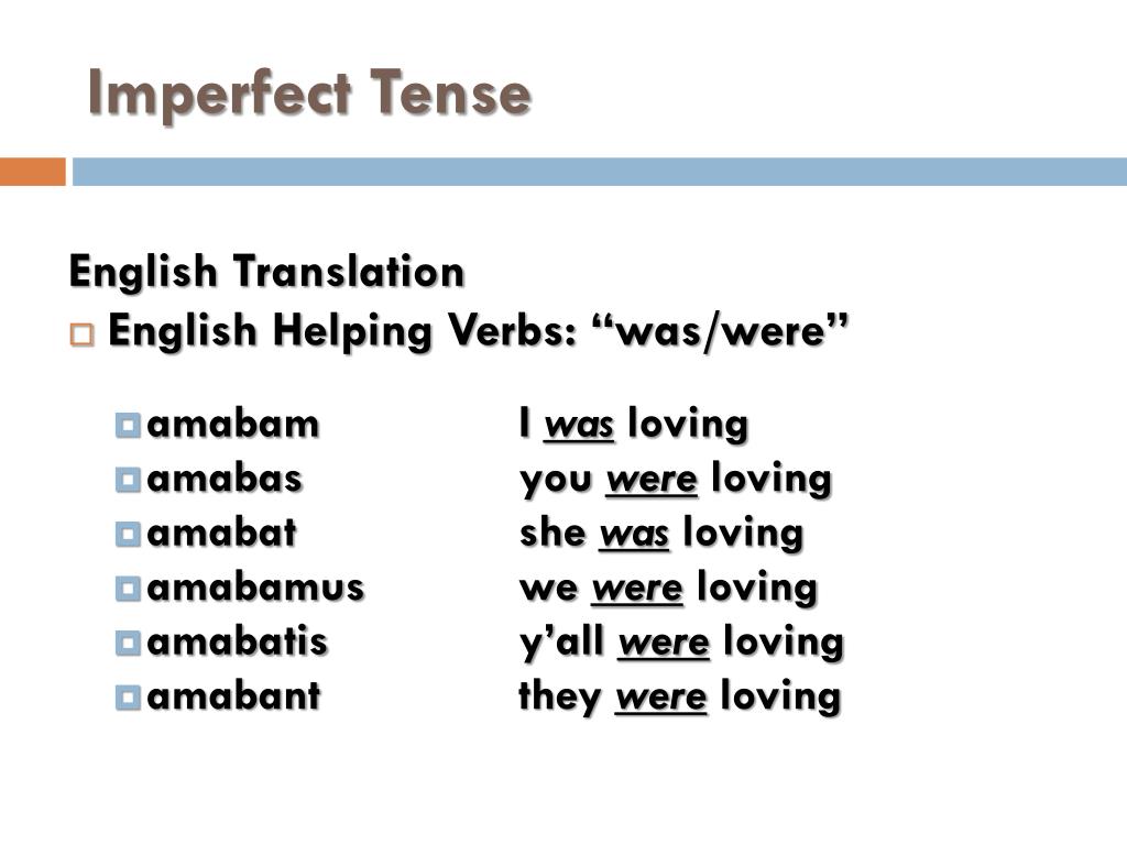 Latin Verb Conjugation Chart Translation