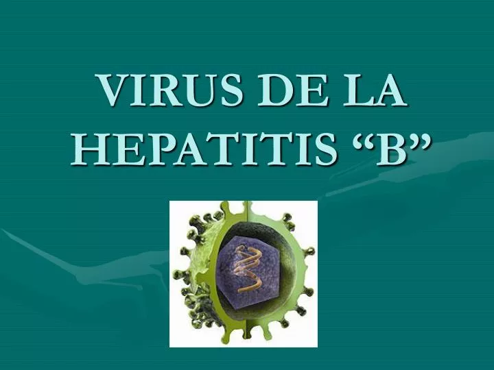 PPT - VIRUS DE LA HEPATITIS “B” PowerPoint Presentation, free download ...